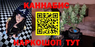 прущие крисы Аргун