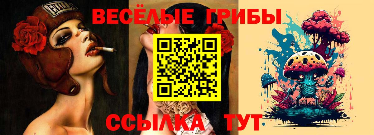 Каннабис  Абакан  Вход с VPN  Меф МЯУ МЯУ кристаллы  Кодеин  ГАШИШ  КОКАИН 
